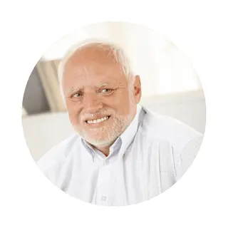 mindvault- customer review